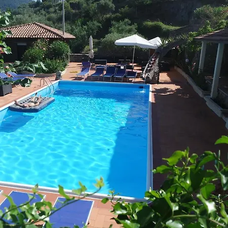 Brutium تورتورا